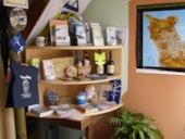 Camping Etang des Haizes