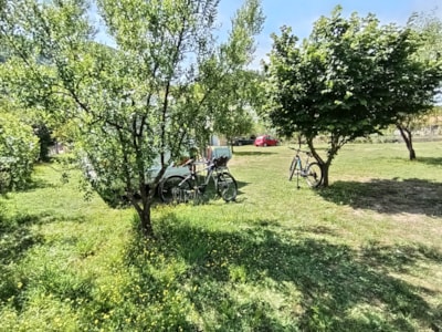 Camper & Motorhome Pitch