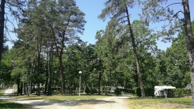 Camping package (pitch, 1 vehicle, 2 persons) — 4