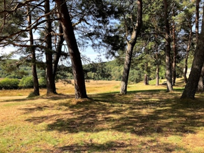 Camping package (pitch, 1 vehicle, 2 persons) — 5
