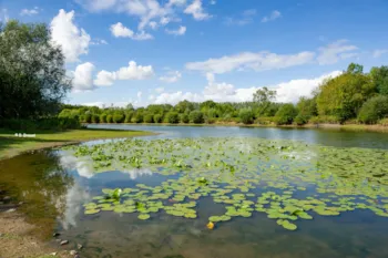 Stellplatz - Pauschale Camping (2 Personen, 1 Fahrzeug, 1 Anlage) - Camping Onlycamp De L'oree Des Boires