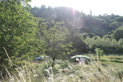 Pitches for tents — 3