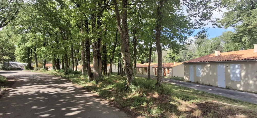 Camping Couleurs Vendée - image n°1 - Camping2Be