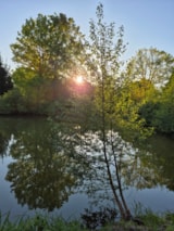 Foto #8 van Camping Dörpen