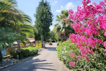 Camping City Nature by Kokua Vacances  - MyCamping