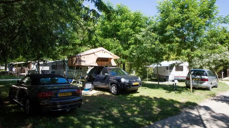 Emplacement - Emplacement Standard (100M²) - Camping La Nouzarède