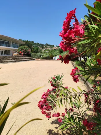 Camping Le Parc Des Chênes - image n°3 - Camping Direct