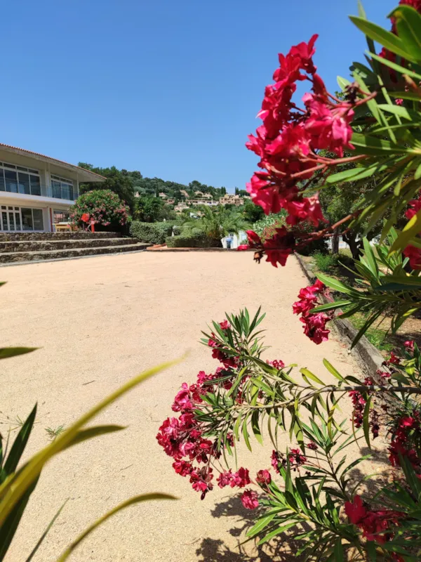 Camping Le Parc Des Chênes