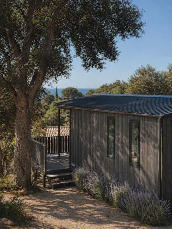 Mietunterkunft - Lodge Canopée - Camping Le Parc Des Chênes