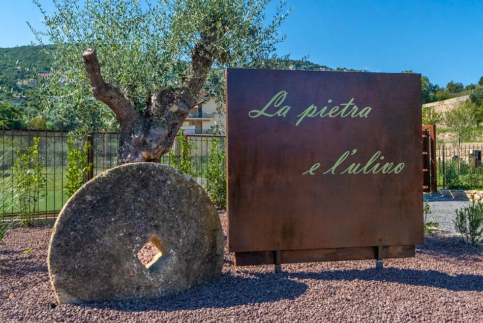 Agricamping La Pietra e l'Ulivo