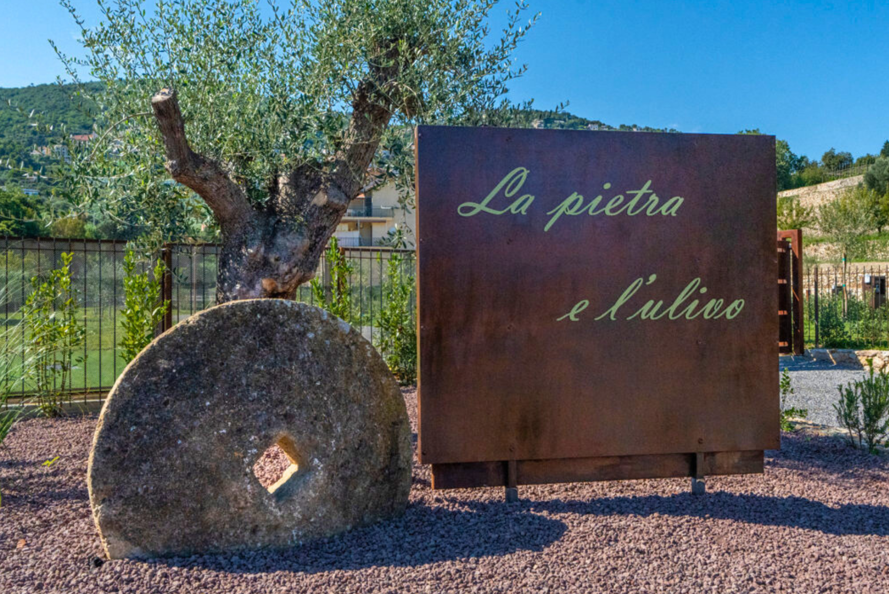 Agricamping La Pietra e l'Ulivo — Foto 4