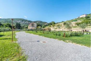 Stellplatz - Stellplatz Standard - Agricamping La Pietra e l'Ulivo