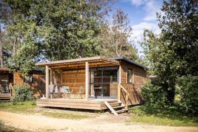 Chalet Evasion