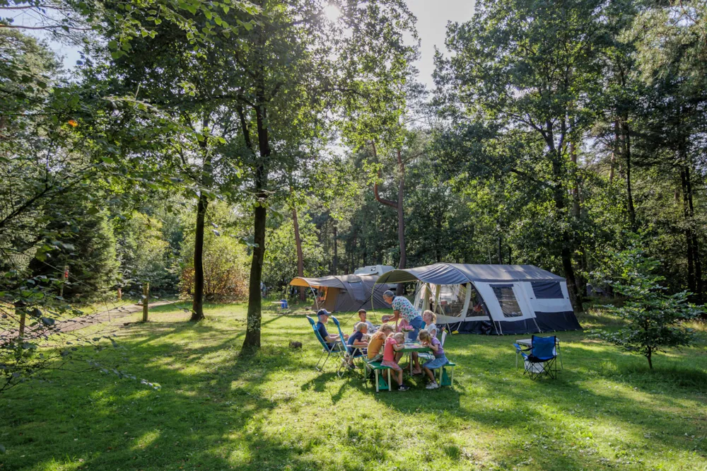 Emplacement - Emplacement Camping Confort - Camping d'Aix en Provence