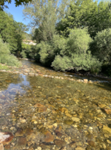 Foto #11 van Camping Des Deux Séquoias