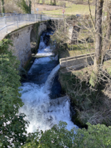 Foto #43 van Camping Des Deux Séquoias