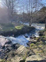 Foto #38 van Camping Des Deux Séquoias