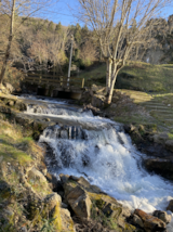 Foto #40 van Camping Des Deux Séquoias