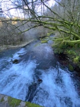 Foto #27 van Camping Des Deux Séquoias