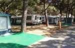 Parcela Standard 60 M2-70M2 (Caravana/Tienda(S)/Autocaravana + 1 Coche O 2 Motos + Electricidad) Parcela Standard 60 M2-70M2 (Caravana/Tienda(S)/Autocaravana + 1 Coche O 2 Motos + Electricidad)