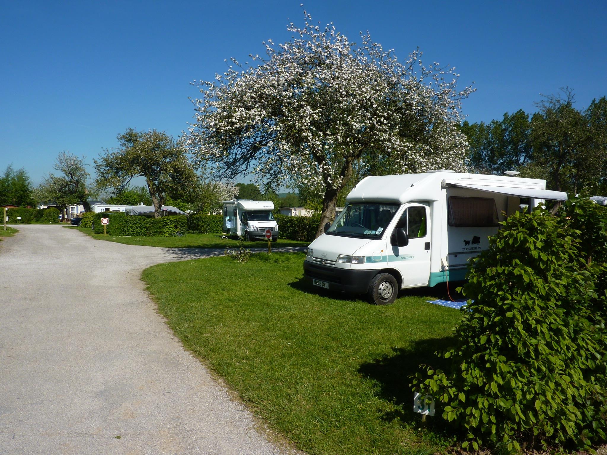 Camping Les Pommiers des 3 Pays — Photo 3