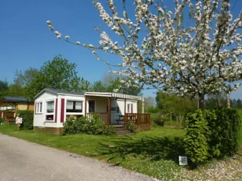 Location - Mobil-Home 2 Chambres (N°45) - Camping Les Pommiers des 3 Pays
