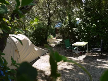 Stellplatz - Stellplatz Pauschale Nature* (Ohne Strom)  - Auto, Zelt, Wohnwagen Oder Wohnmobil - Flower Camping le FONDESPIERRE