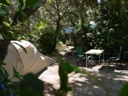 Emplacement - Emplacement Forfait Nature* (Sans Électricité) - Voiture, Tente, Caravane Ou Camping-Car - Flower Camping le FONDESPIERRE