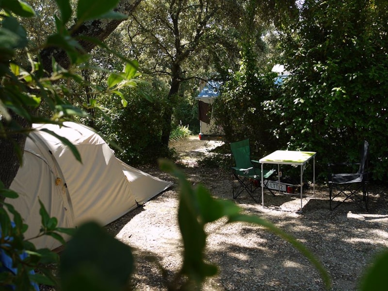 Piazzola forfait Nature* - auto, tenda, roulotte o camper