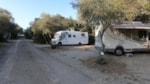 Flower Camping Le Fondespierre Flower Camping Le Fondespierre