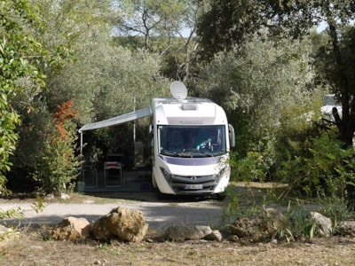Pitch package Confort**  (with 10A electricit) - car, tent, caravan or camping-car