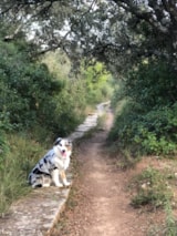 Foto #30 van Flower Camping le FONDESPIERRE