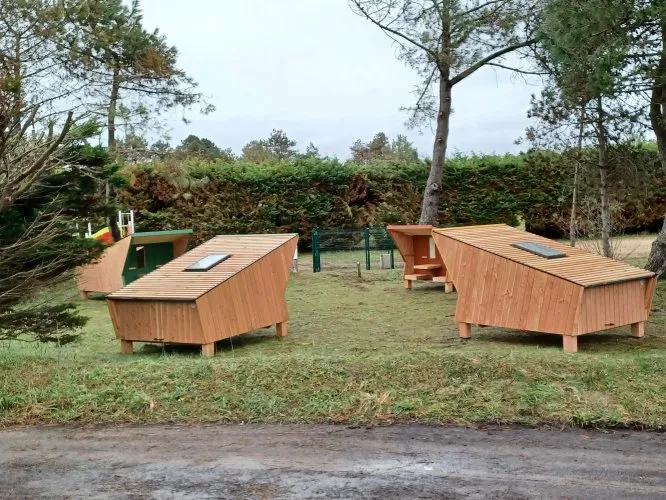 Cabanne Sauterelle - Accueil Lit Bébé Impossible- 1 Pièce