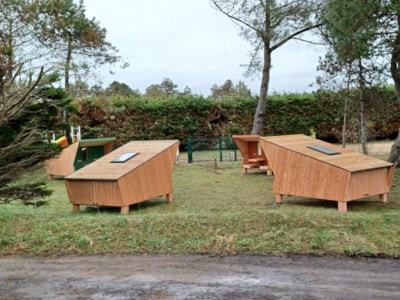 Cabane Sauterelle - Accueil lit bébé impossible- 1 pièce — 3