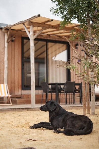 Marsanne 6 Dog Friendly — 2