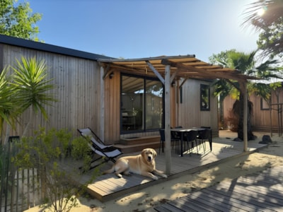 Marsanne 6 Dog Friendly