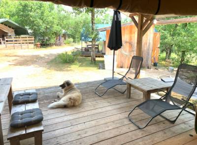 Glamping Tent 68