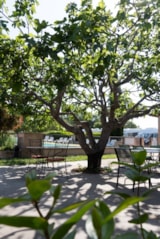 Foto #8 van Camping Lubea