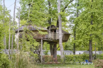 Mietunterkunft - Baumhäuser - Camping Sandaya Château des Marais