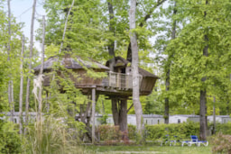 Accommodation - Tree House - Camping Sandaya Château des Marais