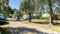 Emplacement - Emplacement Standard - 65M² - 3 Amp - Weekend Glamping Resort