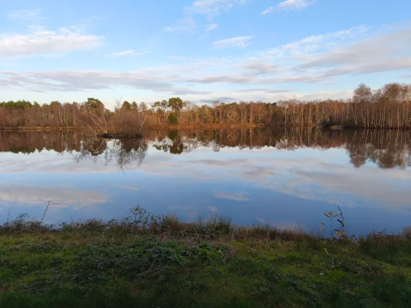 Cottage Cèdre - 26.5 M² - 2 Chambres