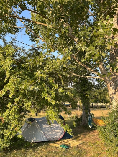 Pitch for 1 motorcycle with electricity (including 2 people and 1 tent) — 1