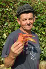 Foto #36 van Camping AR KLEGUER