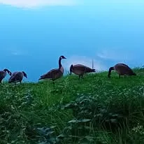 Emplacement Grand Confort