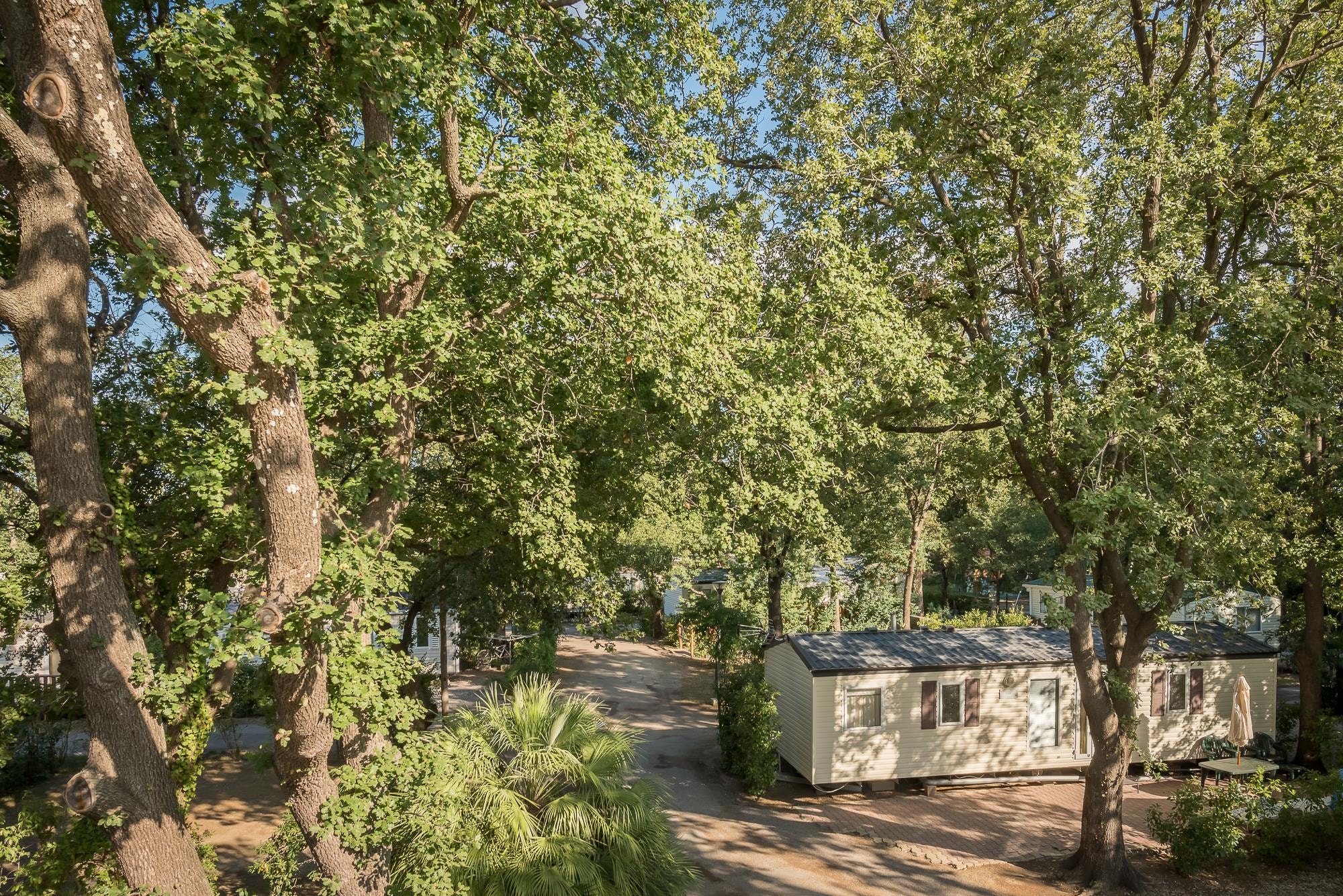 Camping l'Étoile d'Or — Photo 7