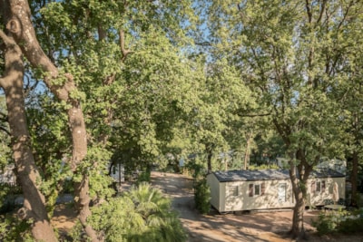 Camping l'Étoile d'Or