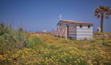 Foto #3 van Camping Homair – Falaise Narbonne-Plage