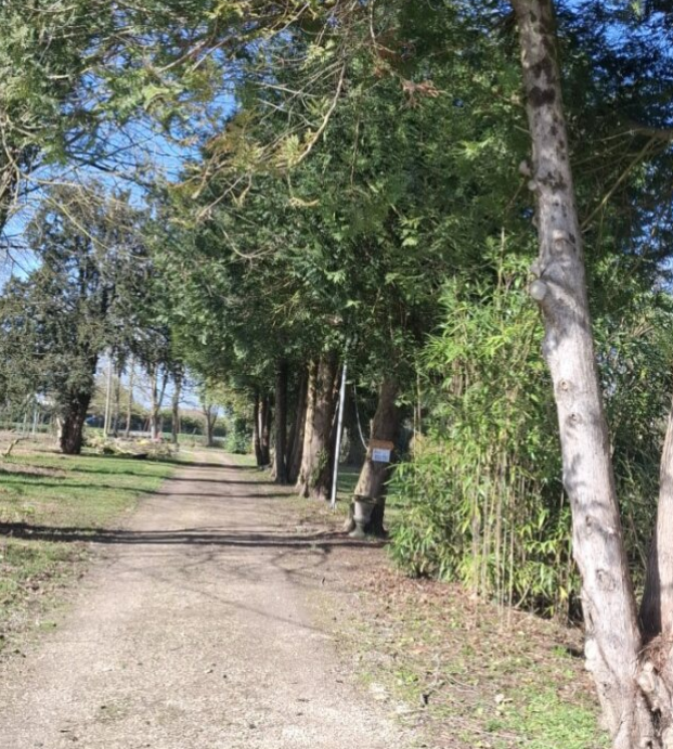 Château de Chambonnières — Photo 2