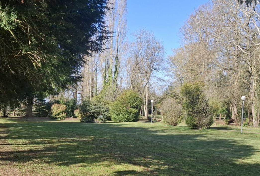 Château de Chambonnières — Photo 5
